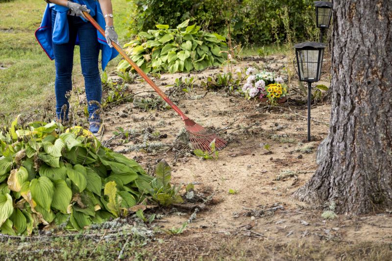 Local Site Clearing Service pros at work