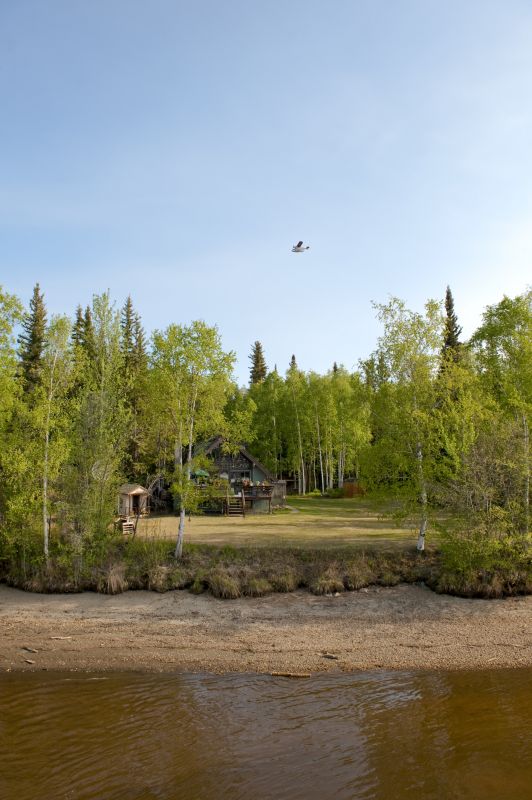Products For Site Clearing Service in use