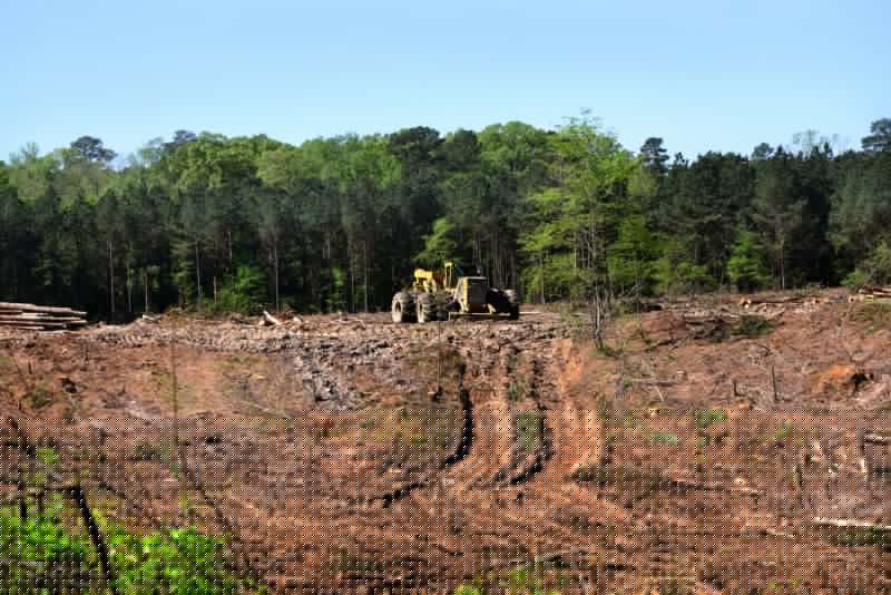 Site Clearing Service