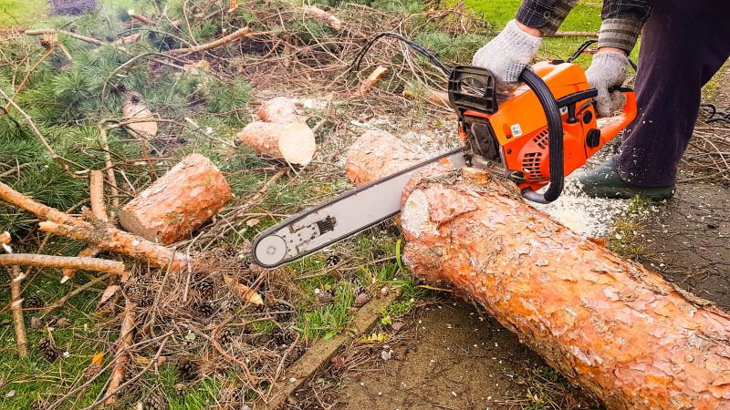 Tools You Actually Need