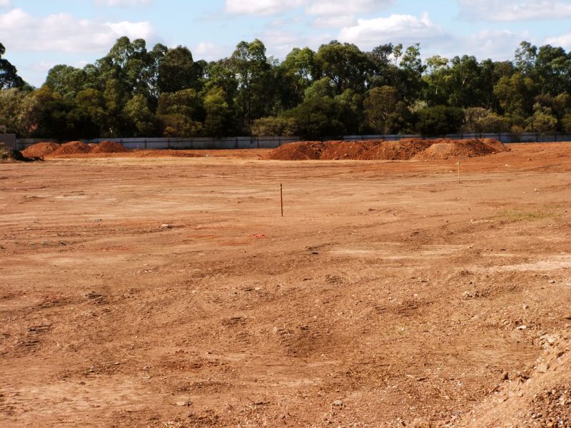 Completed Clearing Project